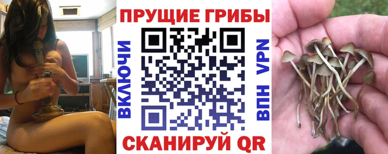 Псилоцибиновые грибы прущие грибы  Клин 