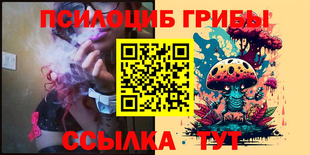 Псилоцибиновые грибы GOLDEN TEACHER Клин